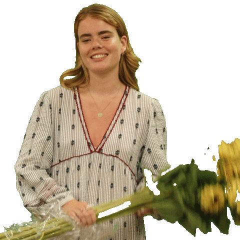 Ppexport Sticker by DutchShotz