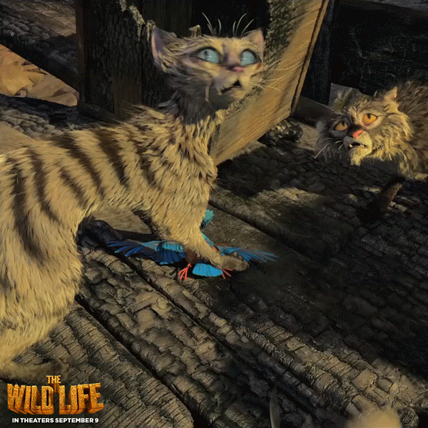 the wild life summer GIF by Lionsgate