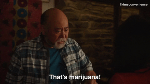 Sniffing Cookie Monster GIF by Kim's Convenience