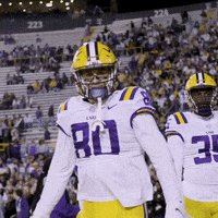 Locked In Dancing GIF by LSU Tigers