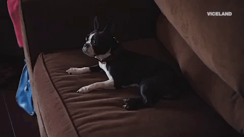 GIF by Hate Thy Neighbor