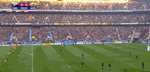 rugby world cup GIF