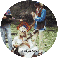 HippyFestival music nice dj enjoy Sticker