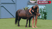 Bbau GIF by Big Brother Australia