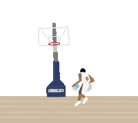 Stay Hydrated Washington Wizards Sticker by Susosu Water