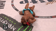 GIF by Bellator