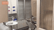 i see you cerec GIF by cerecdoctors