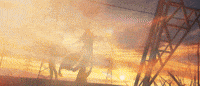 Zzz Wife GIF