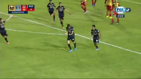 CafetalerosdeChiapas giphygifmaker cafe gol festejo GIF