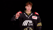 Hockey Del2 GIF by Krefeld Pinguine