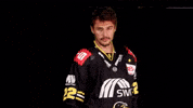 Hockey Del2 GIF by Krefeld Pinguine