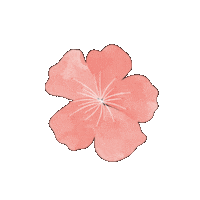 Pink Japan Sticker
