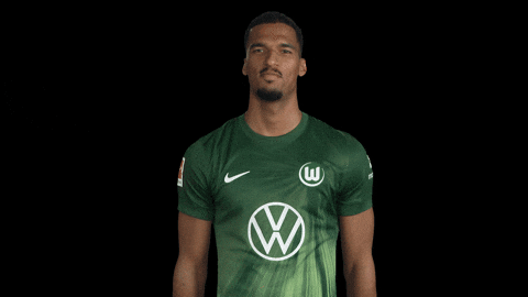 Germany No GIF by VfL Wolfsburg