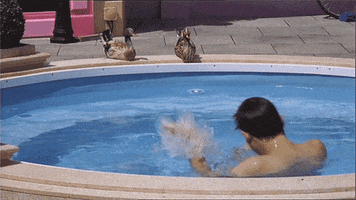 celebrity big brother reality tv GIF by Big Brother UK