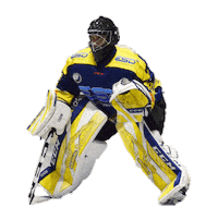 ehcwaldkraiburg ehc waldkraiburg löwen waldkraiburg christoph lode ehcw Sticker