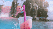 Bubble Tea Yes GIF by foodpanda