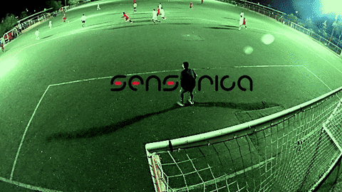 montreal sensorica GIF