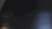 Animation GIF by samuelyal