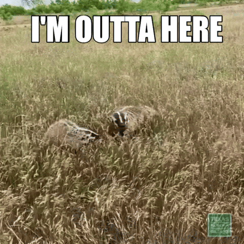 TexasParksAndWildlife run away badger time to go im outta here GIF