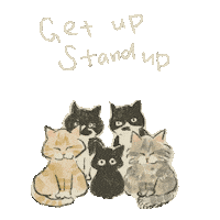 Stand Up Sticker