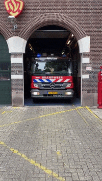 Kazernevictor kazernevictor GIF