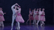 Nutcracker GIF by English National Ballet