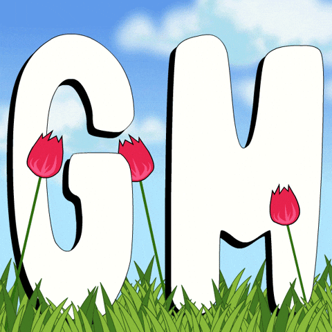 Good Morning Penguin GIF by Pudgy Penguins