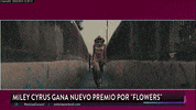 GIF by Wingo