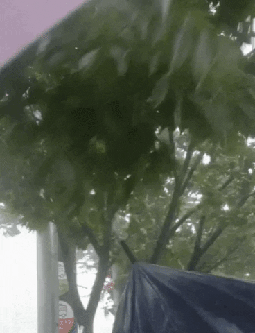 insight_newsroom giphyupload GIF