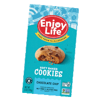 Chocolate Snack Sticker by Enjoy Life Foods