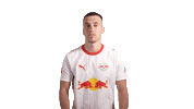 Red Bull Silence Sticker by RB Leipzig