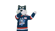 Eishockey Sticker by EC Kassel Huskies