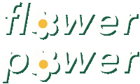 aesthetdesign flower flowers peace spring Sticker