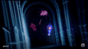 season 13 GIF by America's Got Talent