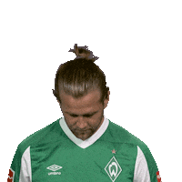 Line Up Smile Sticker by Bundesliga