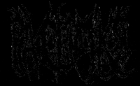 Swipeup GIF by PaceMKR