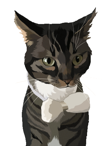 Cat Pet Sticker by Watertown Humane Society