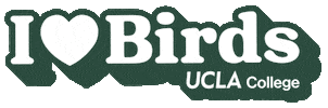 Birds Of A Feather Sticker by UCLA