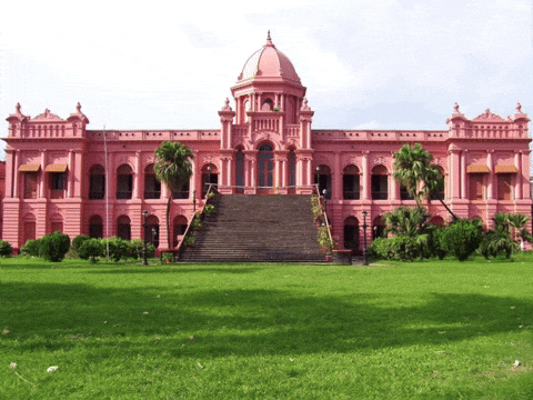 Pink Palace Bangladesh GIF