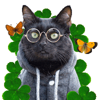 Happy Black Cat Sticker