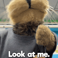 Tired Look At Me GIF by Aquarium of the Pacific