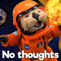 Sea Otter Idk GIF by Aquarium of the Pacific