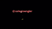 colegioengler bee bauru abelhinha engler GIF