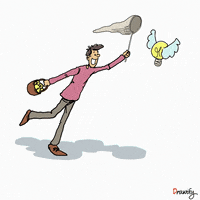 drawify happy idea catch net GIF