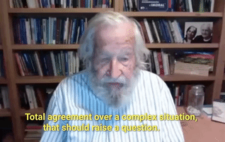 Noam Chomsky critical thinking