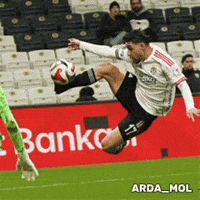 Kayra GIF