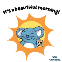 Good Morning Sun GIF by VeeFriends