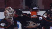 ice hockey GIF by NHL