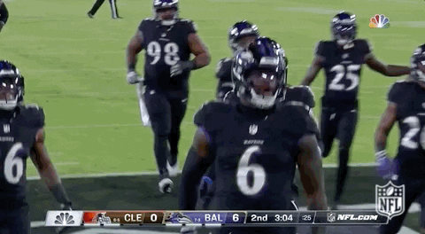 Baltimore Ravens Football GIF by NFL