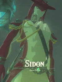 Nintendo Switch Sidon GIF